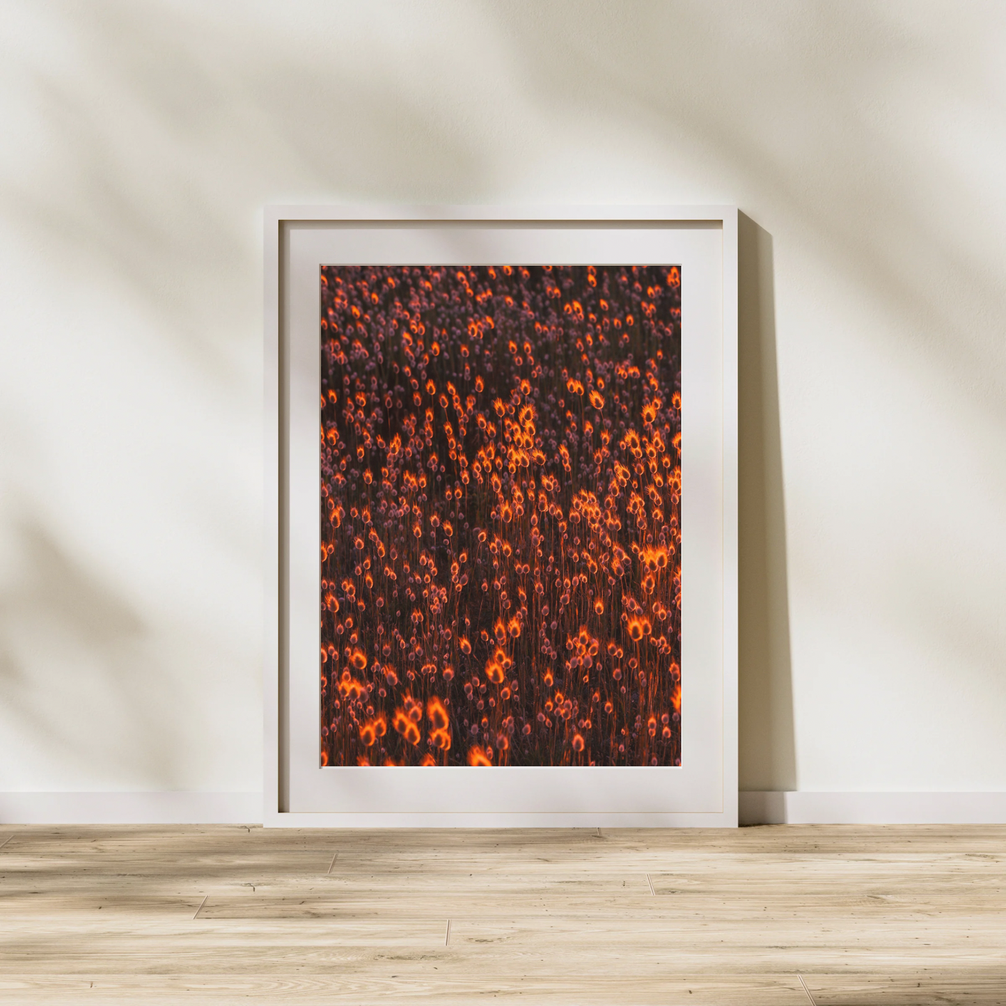 Calcifer